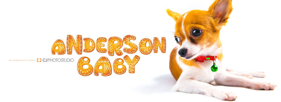 ANDERSON+19062013+AD005.jpg