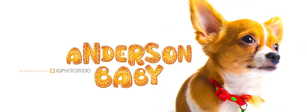 ANDERSON+19062013+AD003.jpg