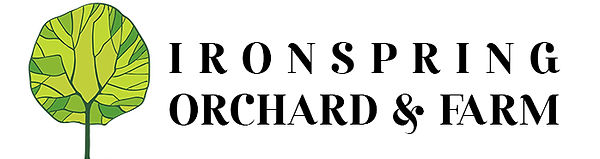 ironspring_horizontal_edited.jpg