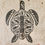 Thumbnail: green sea turtle