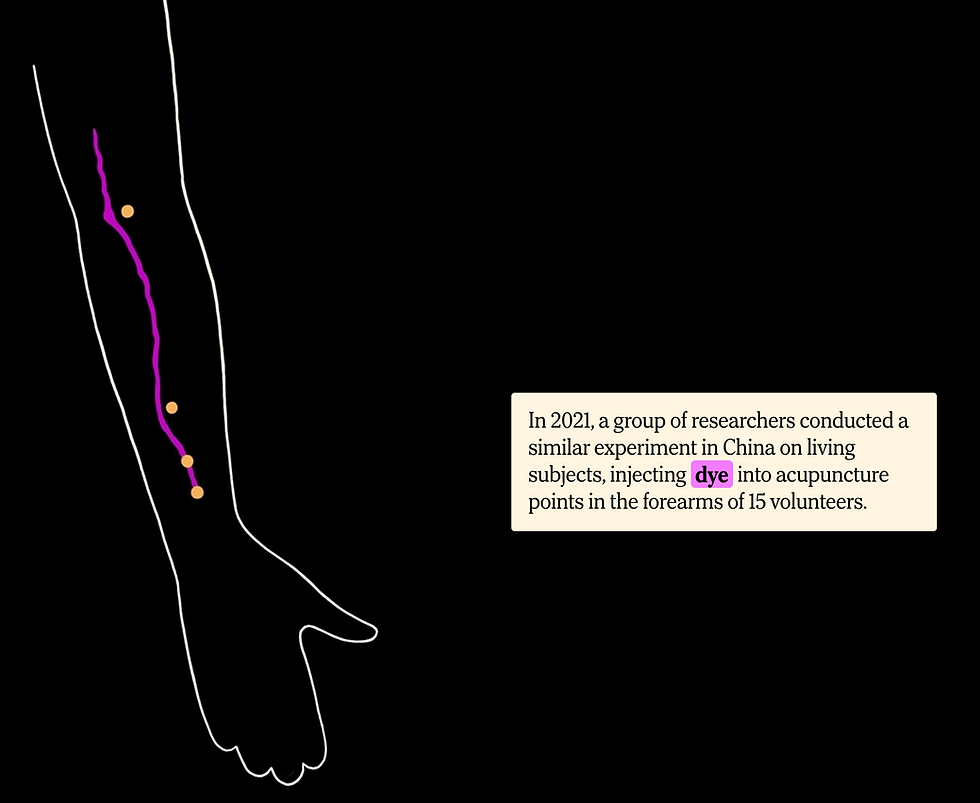 Graphic from the article above, showing dye (pink)traveling along the PC meridian on an arm. Points PC 3, 4, 5, and 6 are in yellow.