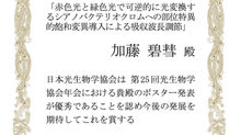 M2の加藤くんが日本光生物学協会ポスター賞を受賞しました!!