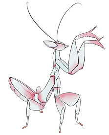 Orchidmantis.png