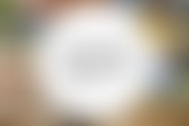 Plano Agrícola e Pecuário 2016/2017