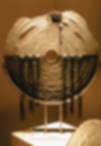 Shield