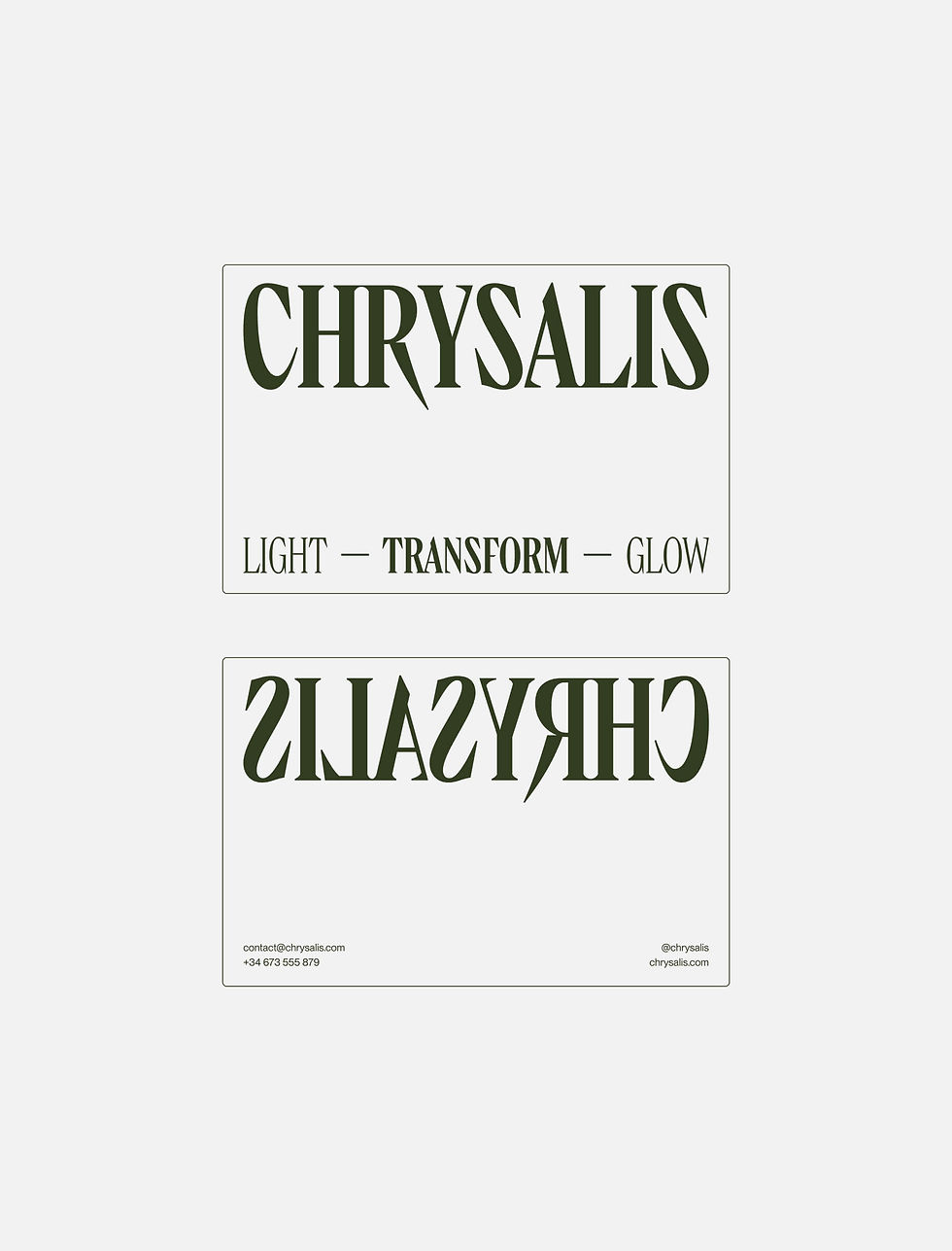 chrysalis-10.jpg