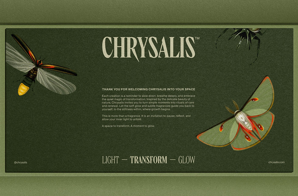 chrysalis-06.jpg