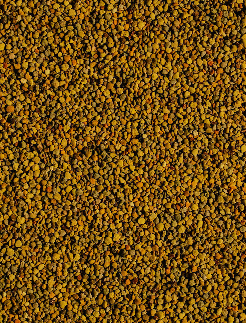 abao-25.jpg