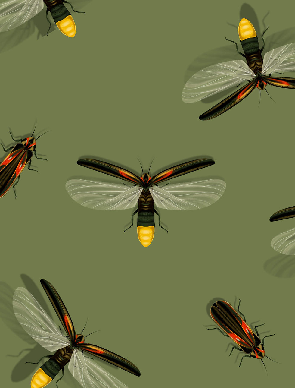 chrysalis-09.jpg