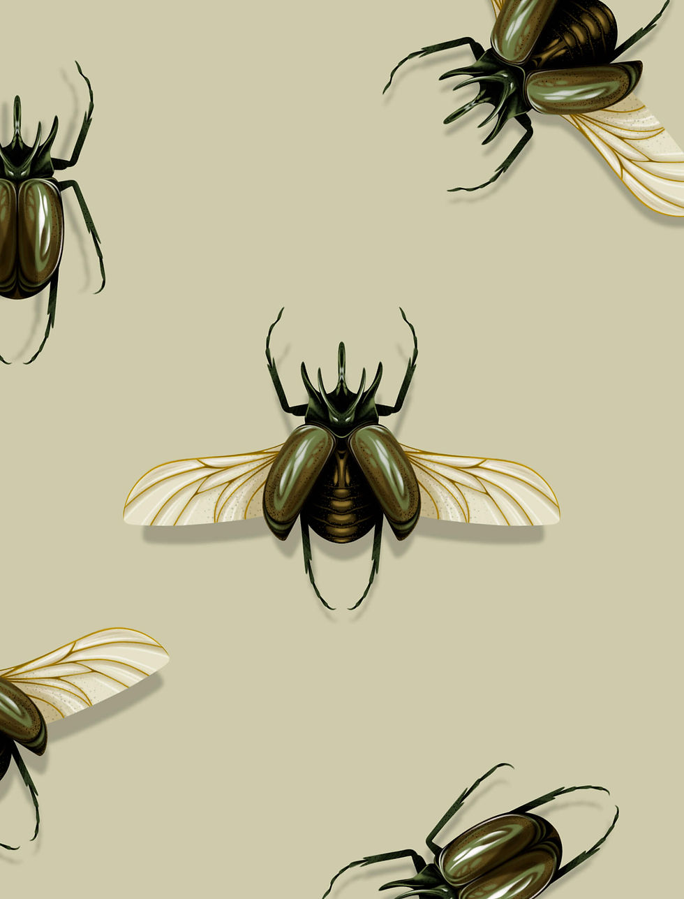 chrysalis-20.jpg