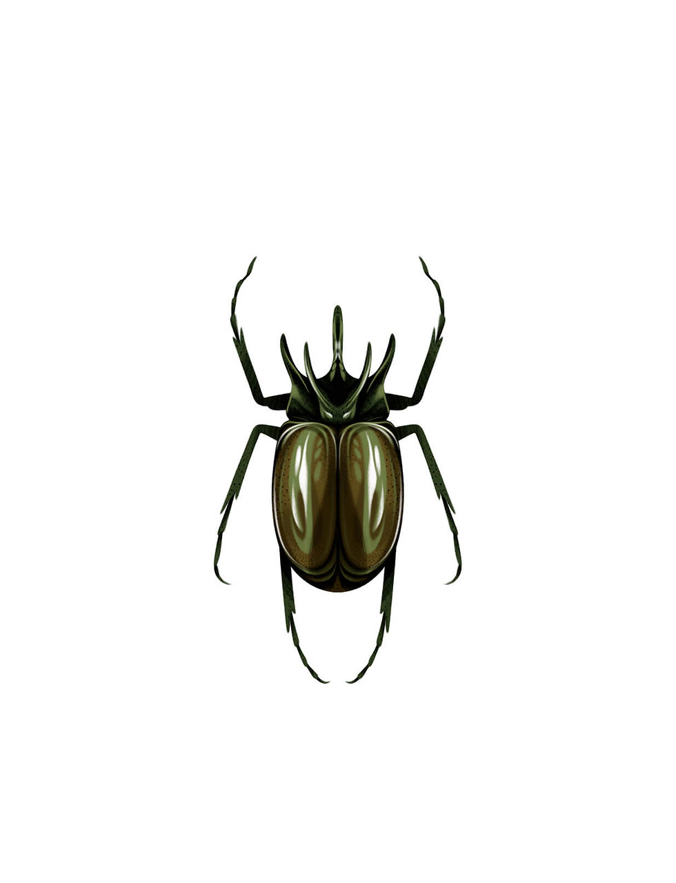 chrysalis-28.jpg