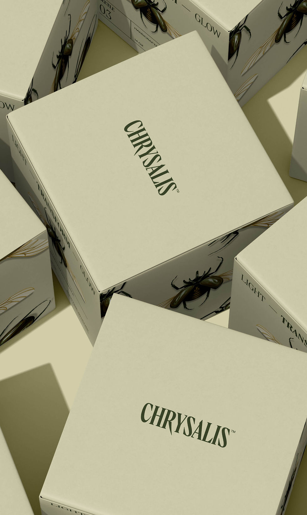 chrysalis-24.jpg
