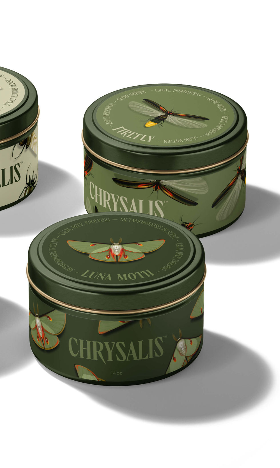 chrysalis-25.jpg