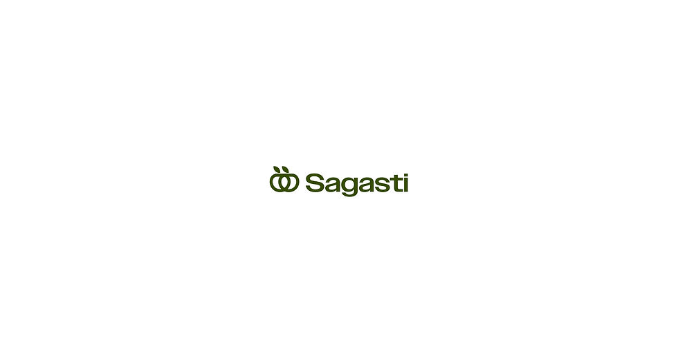 sagasti-02.jpg