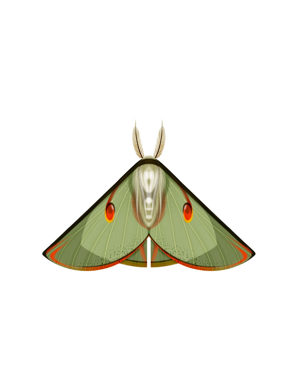 chrysalis-27.jpg