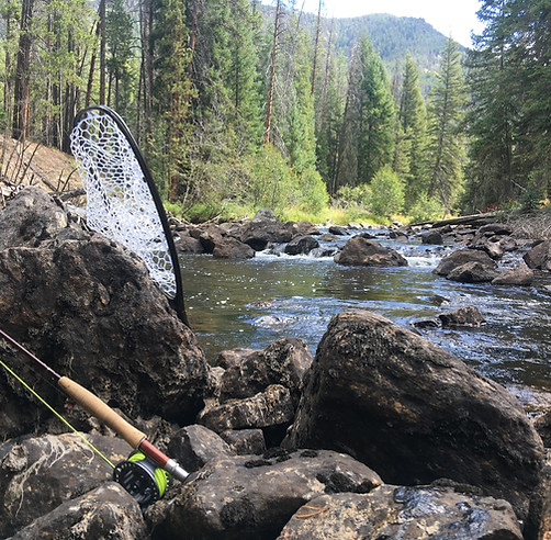 Fly Fishing Estes Park