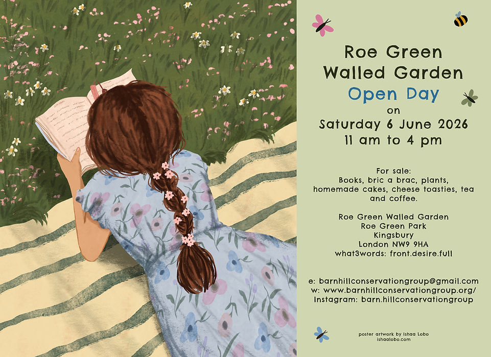 BHCG Open Day - June 2026.jpeg