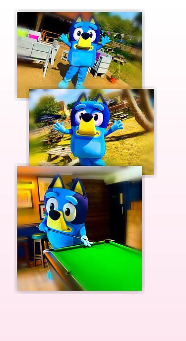 WhatsApp Image 2026-03-17 at 23.37.10.jpeg