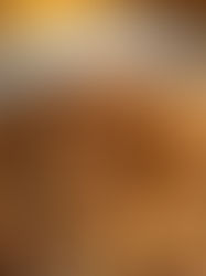 The Feminine Foodie: Addicting (but healthy!) Oatmeal Cookies