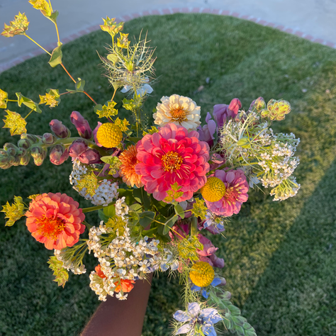 What We're Growing in the Garden for 2025