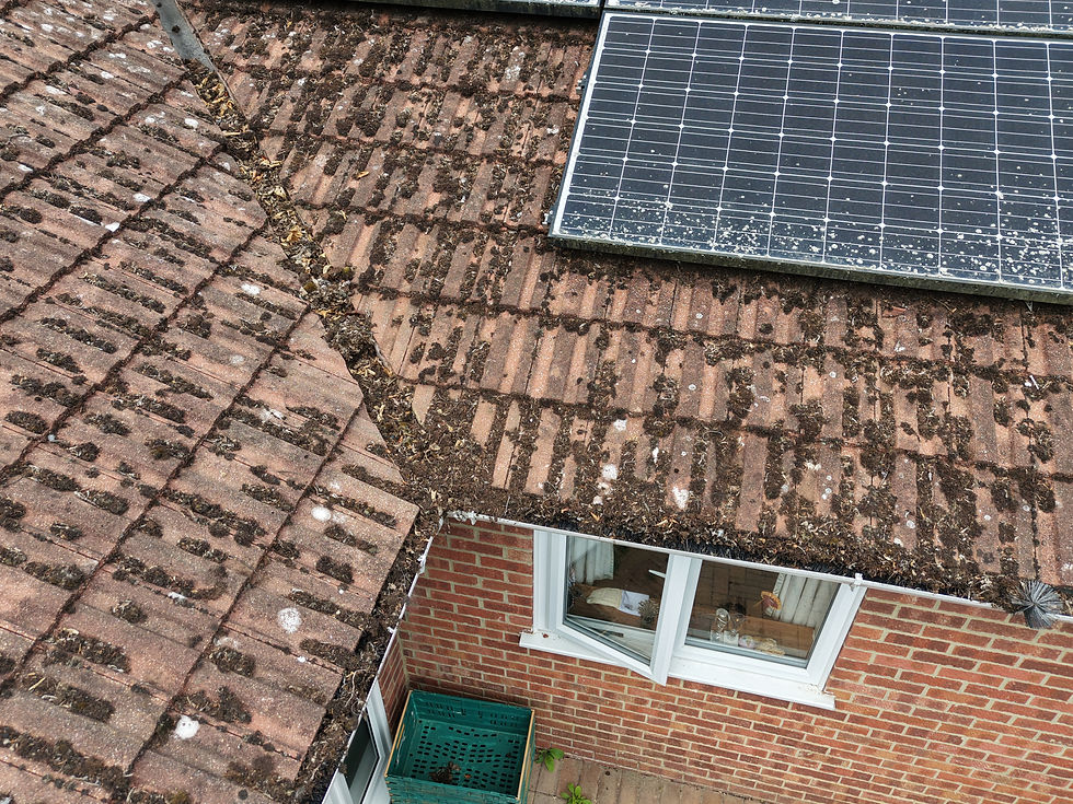 Dirty red-tiled roof with a solar panel above a brick house window and patio below, seen from above.