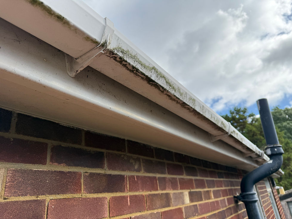 Mossy white gutter and roof eaves above a brick wall, with a black drainpipe against a cloudy sky.