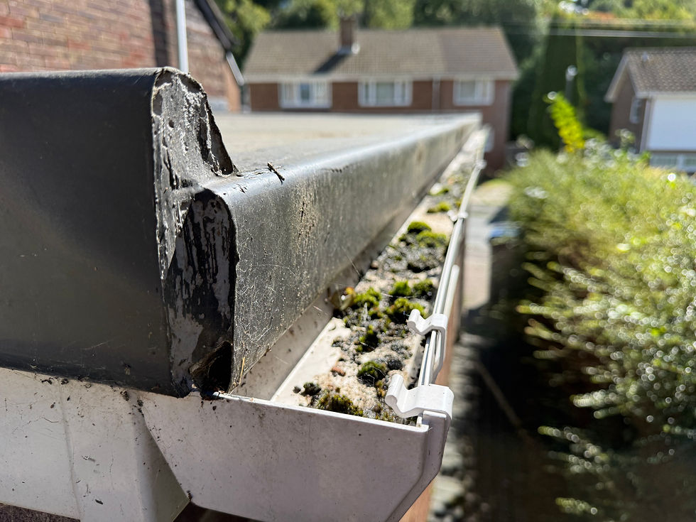 Close-up of a damaged black roof gutter clogged with moss, beside a brick house and blurred suburban homes on a sunny day.