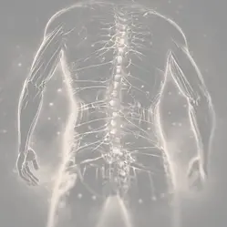 Sciatica, also called lumbar radiculopathy, is a pain that originates along your sciatic nerve. This nerve extends from the back of your pelvis down the back of your thigh. Your sciatic nerve is the main nerve in your leg. It is also the largest nerve in your entire body.
