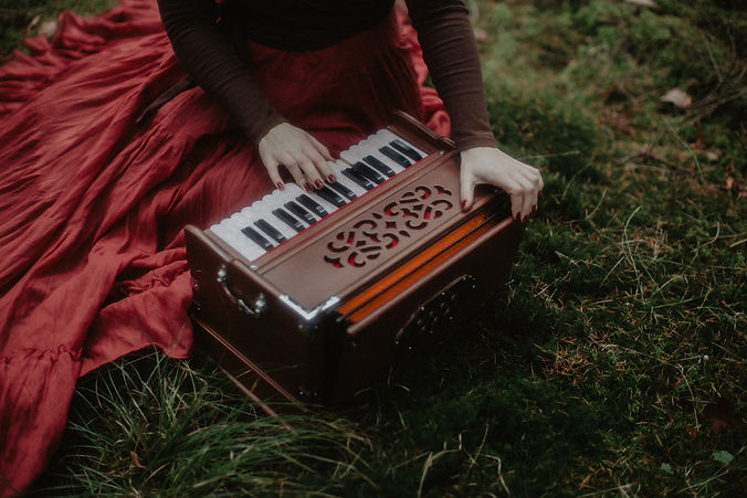 Bild Harmonium quer.JPG