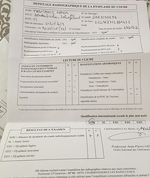 Phantastic Ouper du Clan des A.S. - Etalon argenté charbonné