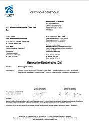 Le Clan des A.S. / Nirvana Naboo du Clan des A.S. / MD