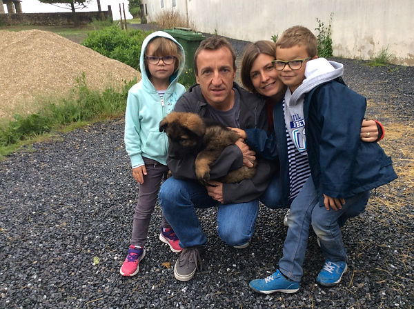 Elevage Le Clan des A.S. / Altdeutsche Schaferhunde / Seine et Marne