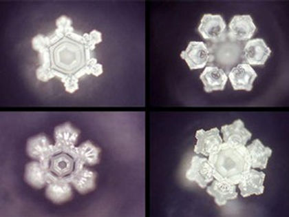 Dr. Emoto.jpg