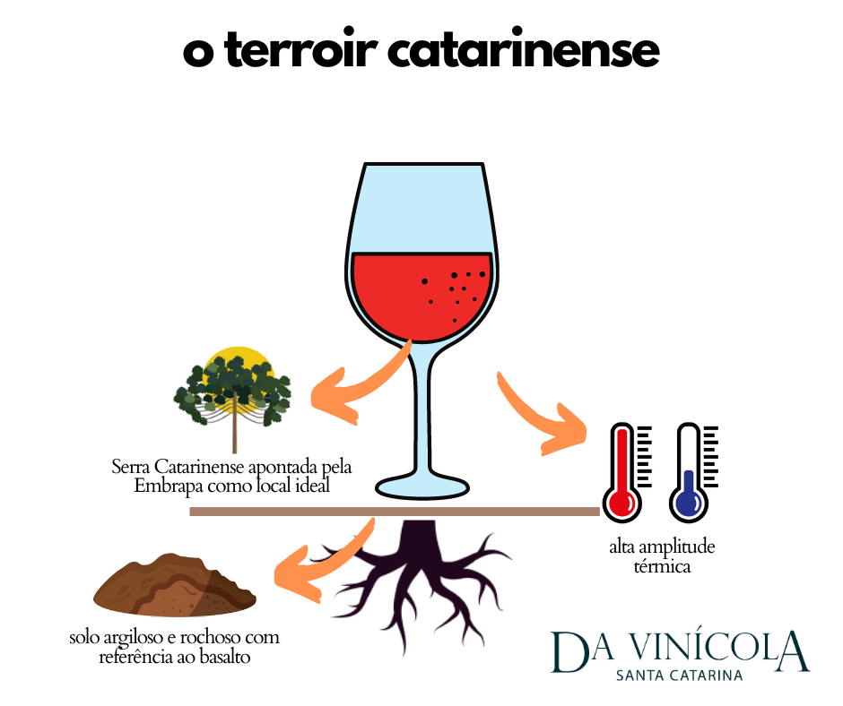 terroir catarinense