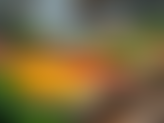 Easy Meal Planning for Family Health and Nutrition