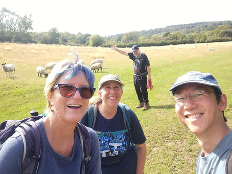 The Cotswolds Inn to Inn Walk Adventure