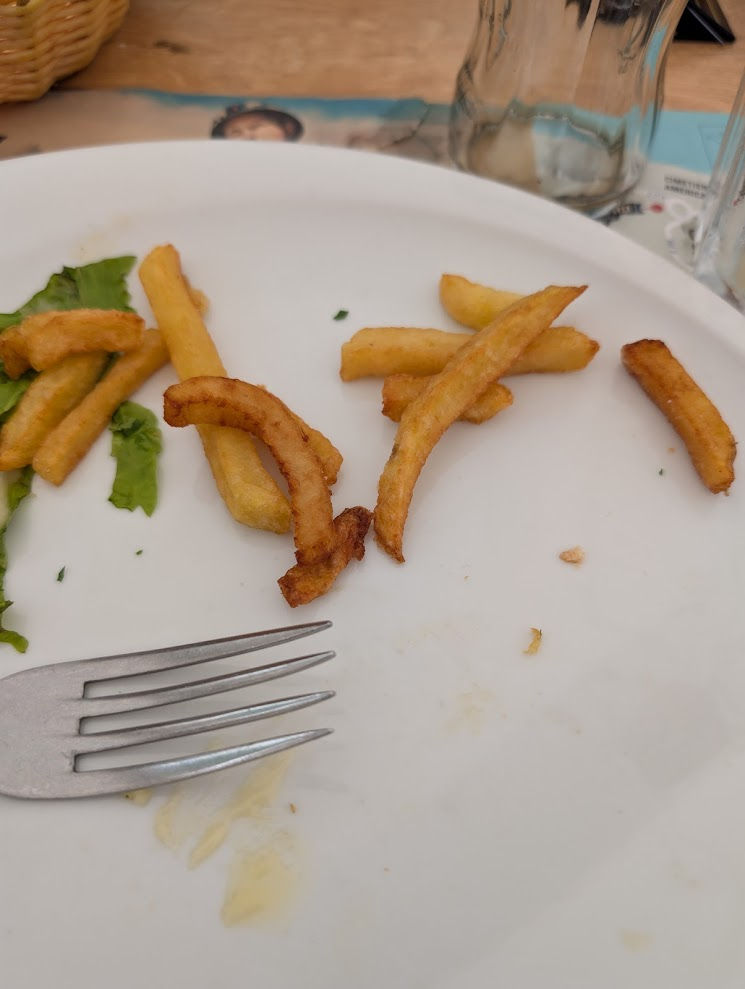 They were particularly tasty. France knows what it is doing with fries.