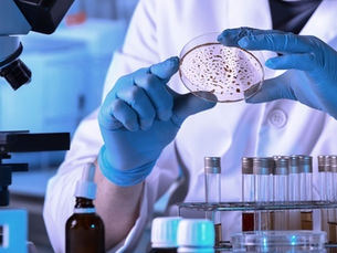 ALIMENTOS ULTRAPROCESSADOS E MICROBIOTA INTESTINAL EM ADULTOS: INFLUÊNCIA DA INGESTÃO DE FIBRAS E POSSÍVEIS IMPLICAÇÕES METABÓLICAS