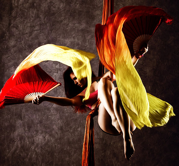 aerial silk performer los angeles