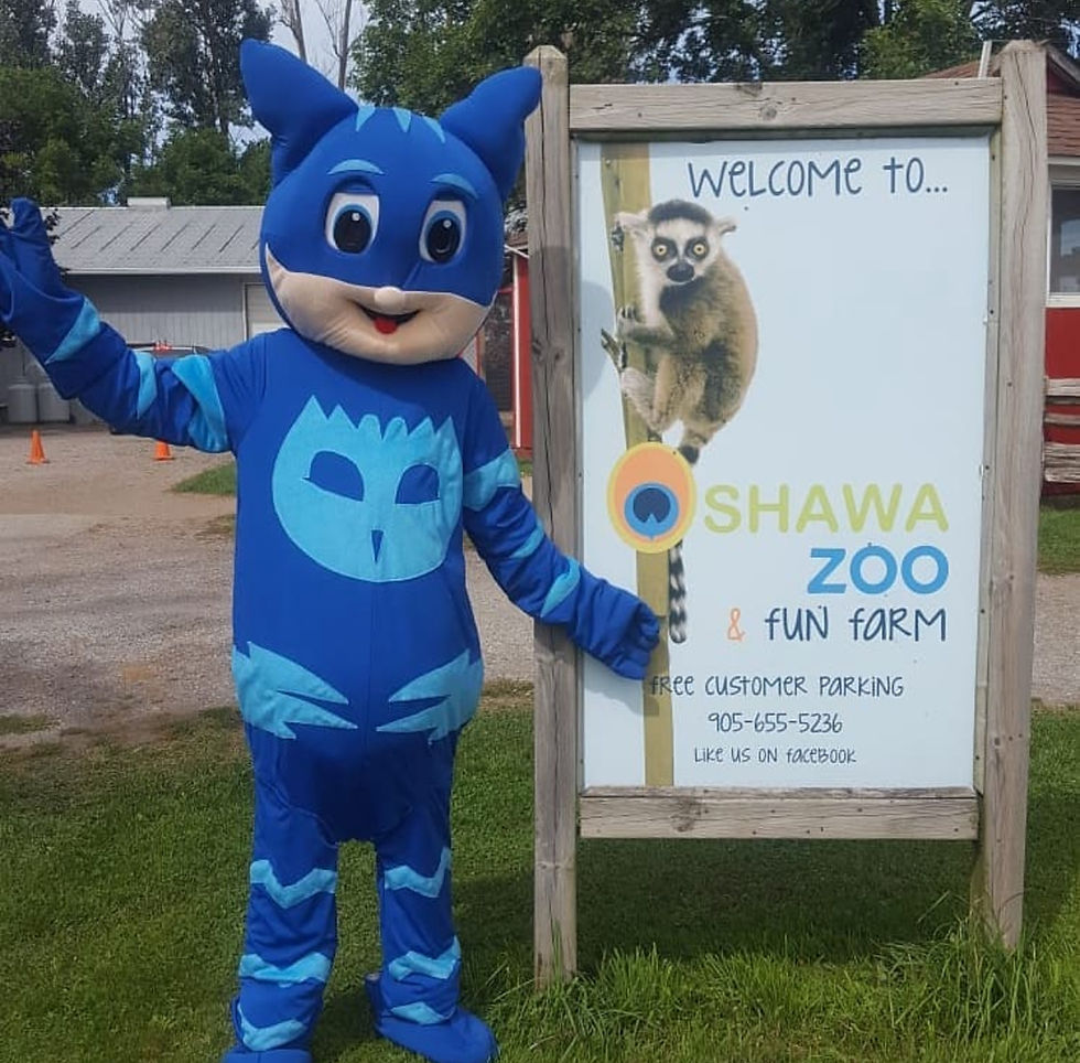 PJ Mask Mascot for Rental