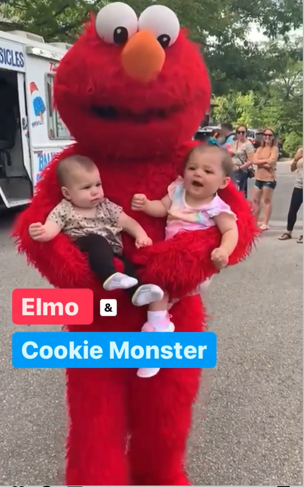 Elmo and cookie monster Mascot for Parties