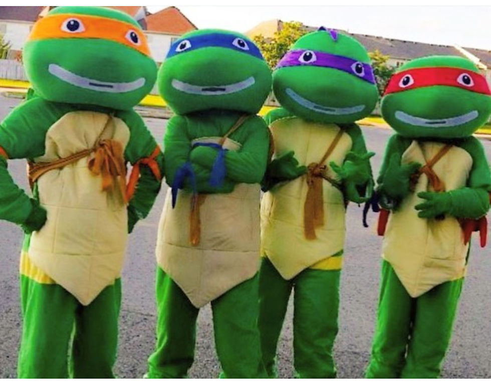 Tortles Ninja Mascot for Events and Parties