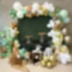 Safari baby shower decoration in edmonton