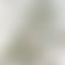 Green Up Rooftop 2030