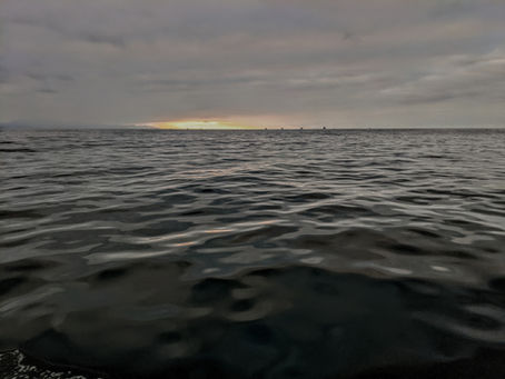 Shipshape's Winter Tips