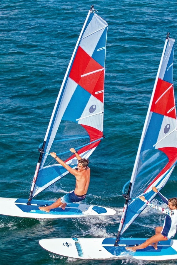 Bic Nova Windsurf Sail Dacron/Mylar PVC Panel FUN PRO SHOP