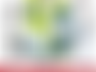 Complete Set - Techno Wind Foil 130 Class - promo offer €2980 for the upcoming 3V Cup 4-6 June 2021
