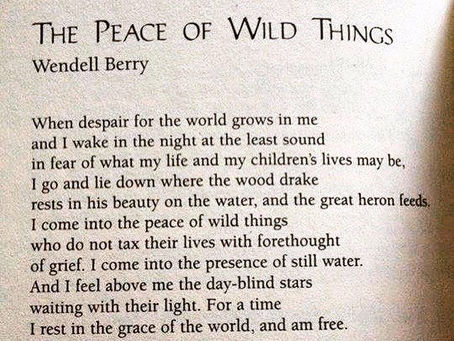 The Peace of Wild Things