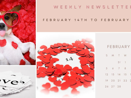 Newsletter & Weekly Ad, Feb. 14th - Feb. 20th