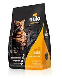 bengal cat on nulo pet food